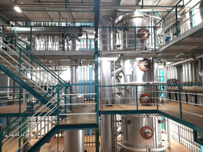 Deodorizing  Process