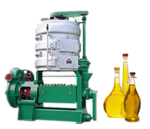 Large Screw Sunflower Oil Press Machine