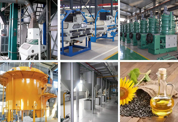 Sunflower Oil Mill Plant