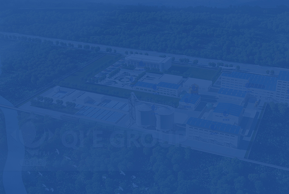 Small Scale Sunflower Seed Oil Processing Plant