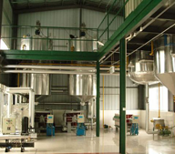 sunflower oil machine thumbnail