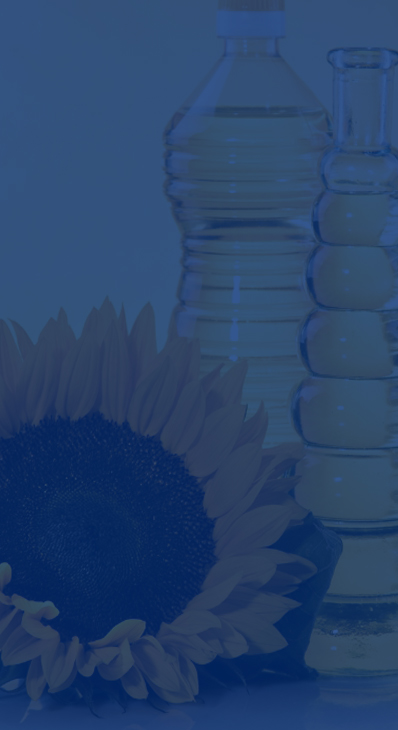 PROCESSING EQUIPMENT FOR RAW MATERIALS