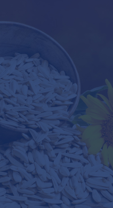 sunflower OIL FOR RAW MATERIALS