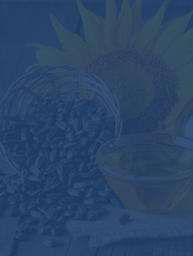 Sunflower Oil Production Line