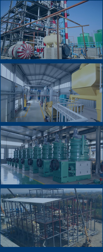 sunflower oil plant case around the world