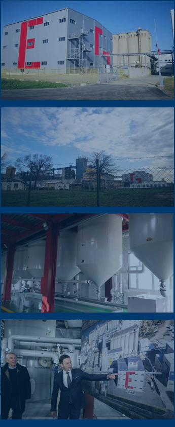 sunflower oil plant case around the world