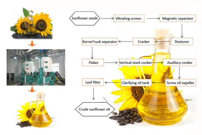 Setting Up Sunflower Oil Processing Plant